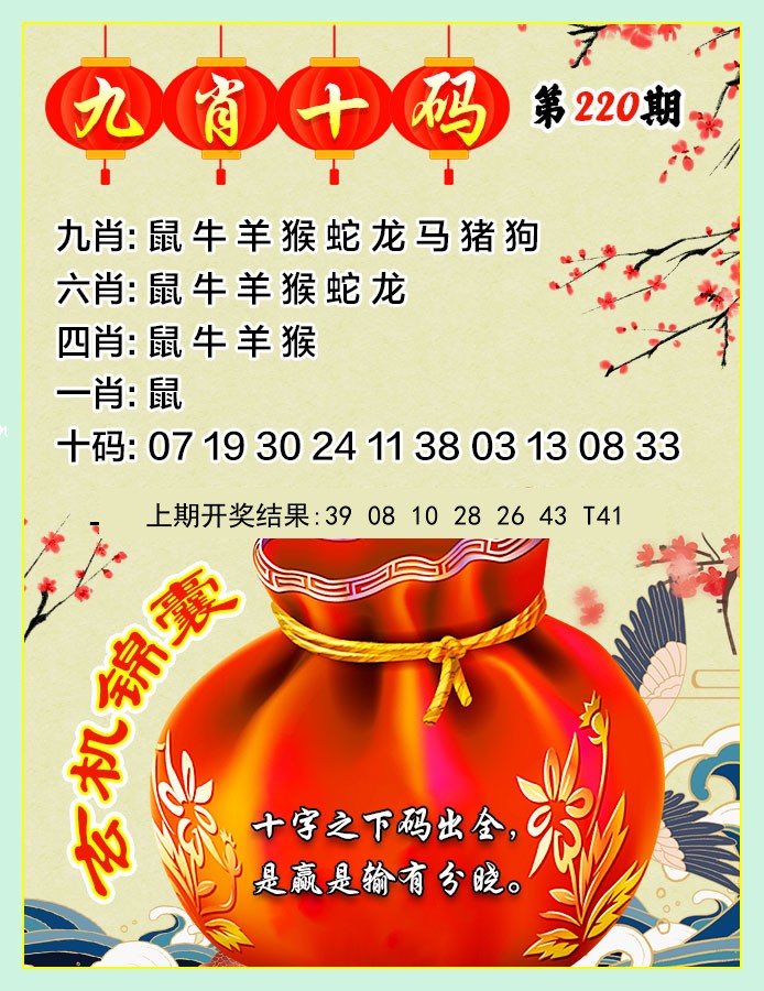 九肖10码