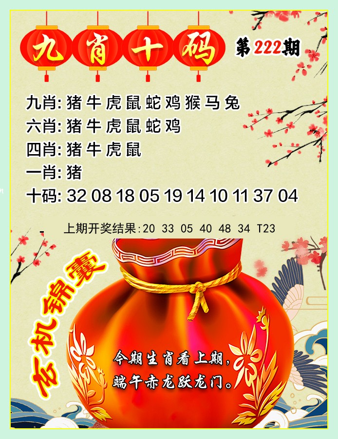 九肖10码