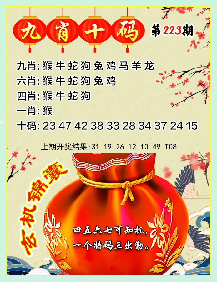 九肖10码
