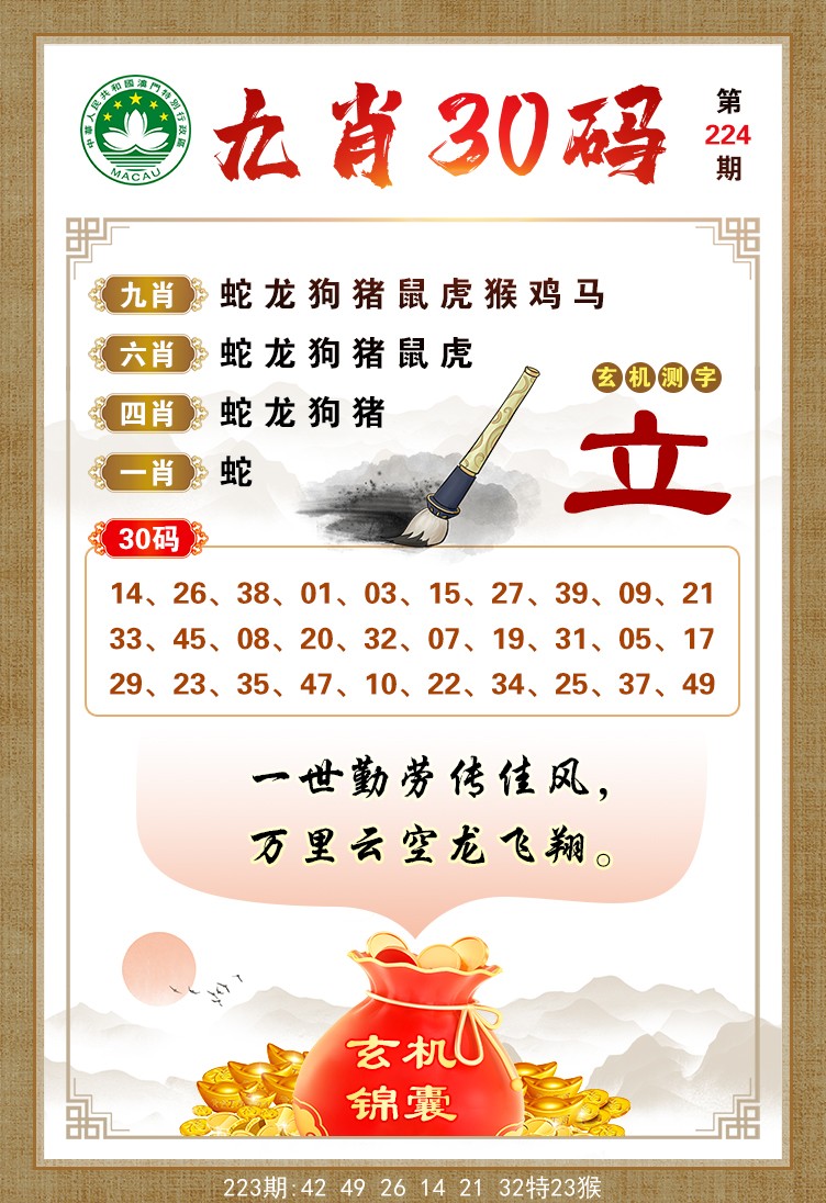 九肖30码