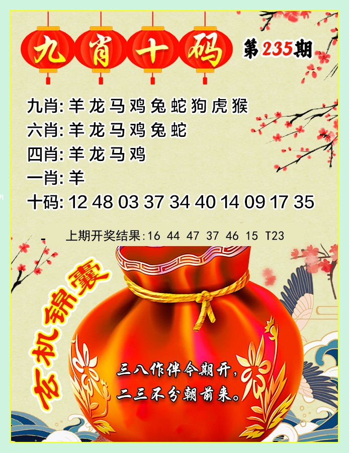九肖10码