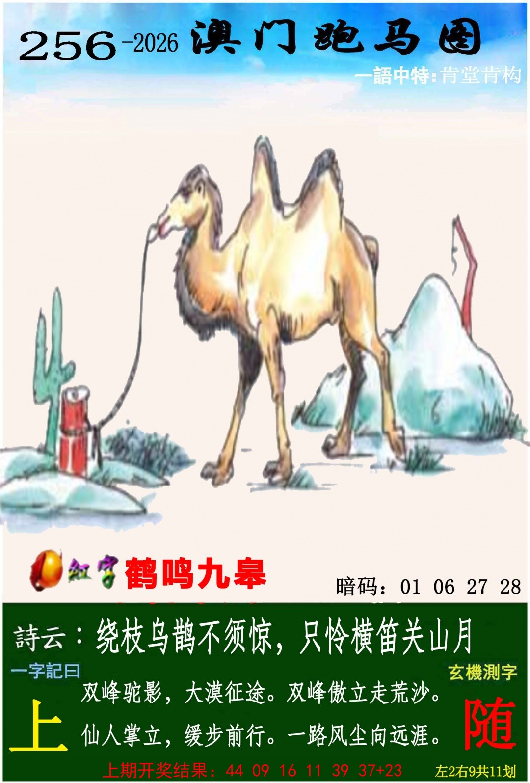 澳门跑马图