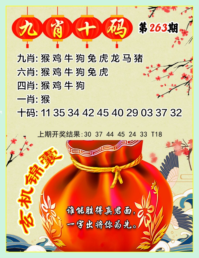 九肖10码
