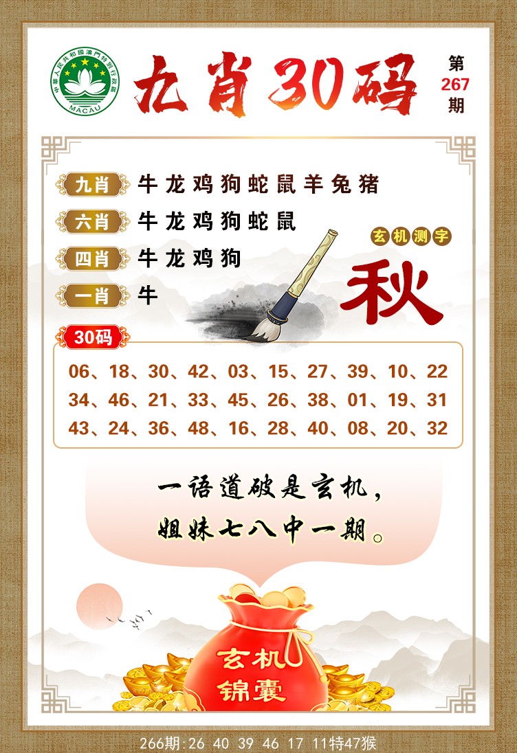 九肖30码