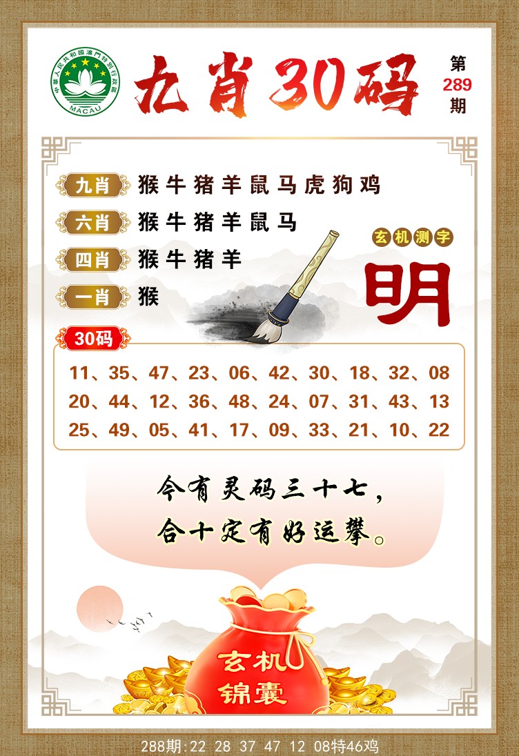 九肖30码